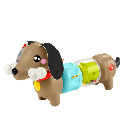 Fisher-Price Fp Pets Click & Spin Activity Pup Fine Motor Sensory Toy For Babies